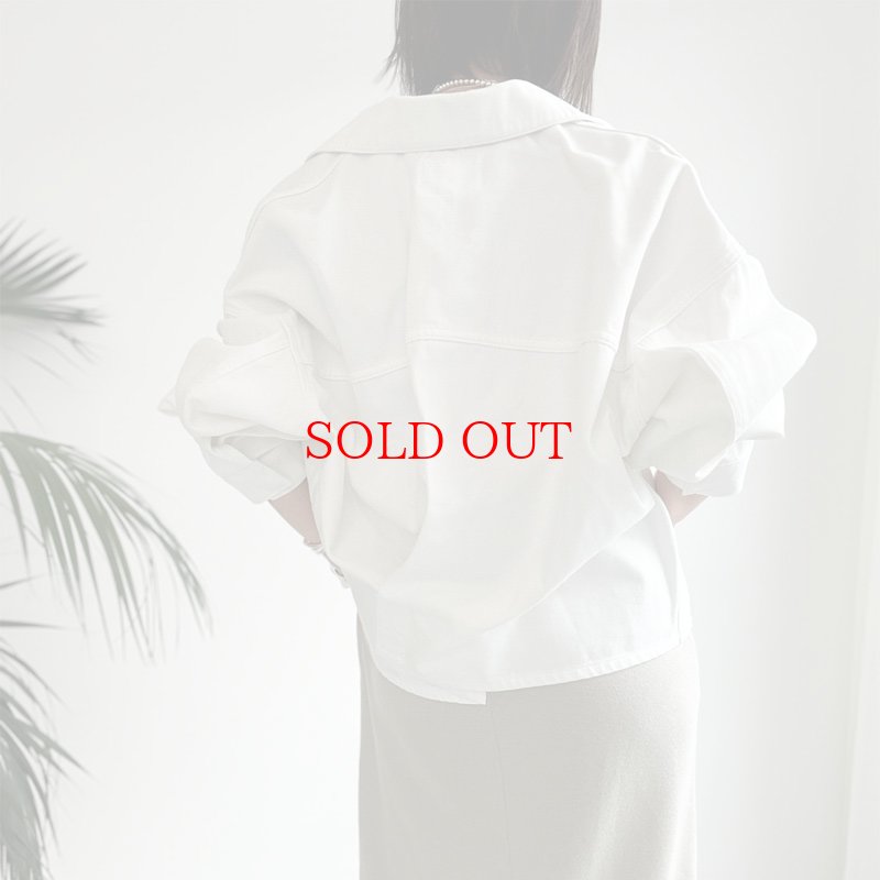 画像29: ●激推しデニムジャケット●【liveご紹介アイテム】back twist denim jacket (29)