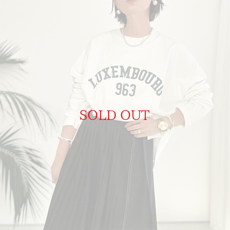画像9:  SALE  【9/17 LIVEアイテム】ドルマンロゴプルオーバー (9)