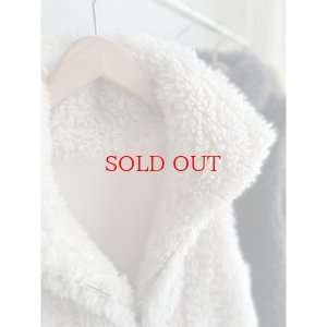 画像9: ●SALE●リバーシブルネックファーベスト【LIVEご紹介アイテム】