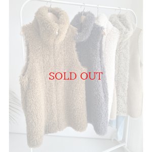 画像2: ●SALE●リバーシブルネックファーベスト【LIVEご紹介アイテム】