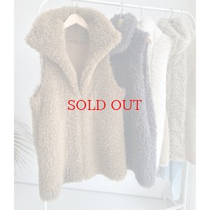 画像1: ●SALE●リバーシブルネックファーベスト【LIVEご紹介アイテム】