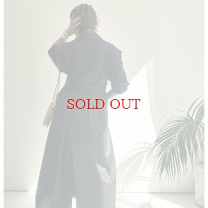 画像34: ◆最後のフリー販売●【LIVEご紹介アイテム】●ネオンライントレンチ