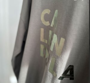 画像2: 【SALE liveご紹介アイテム】metallic logo lonT