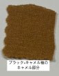 画像9: ●新色出来ました◎大人気!!!【LIVEご紹介アイテム】配色スリーブトップス (9)
