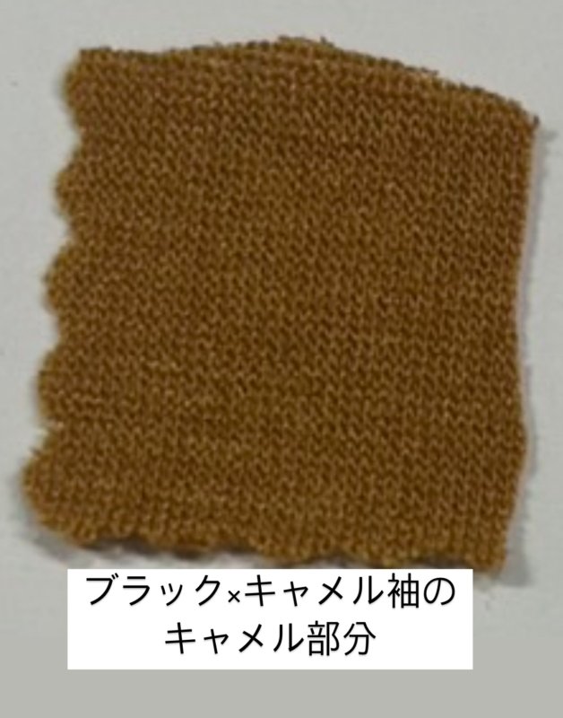 画像9: ●新色出来ました◎大人気!!!【LIVEご紹介アイテム】配色スリーブトップス (9)