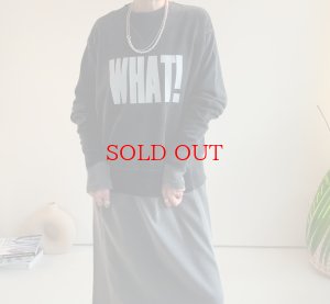 画像11: 【1/13 LIVEご紹介アイテム】BIGロゴスエットライクニット