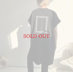 画像1: ●新作SALE●【6/28 LIVEご紹介アイテム】バックロゴBIG T