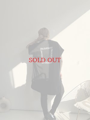 画像2: ●新作SALE●【6/28 LIVEご紹介アイテム】バックロゴBIG T