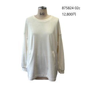 画像2: ●ご予約ポイント対象●期間限定掲載●【7/18 LIVEご紹介アイテム】ストレッチベロアプルオーバー＜予約/11＞