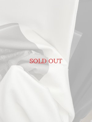 画像5: ●SPECIAL SALE●【1/15 LIVEアイテム】●前後2WAYフォトプリントロンTチェア