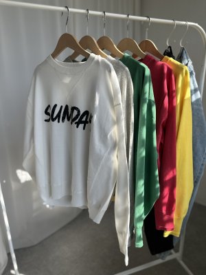 画像1: ●3連休限定SALE●【LIVEご紹介アイテム】スエットライクロゴニットプルオーバー