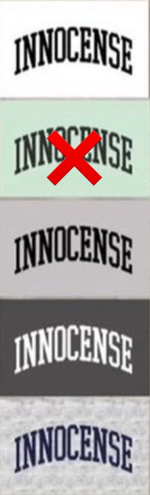 画像7: ●生産枠限り●期間限定掲載●【9/29 LIVEご紹介アイテム】裏毛布前後ロゴスエット（予約/11）