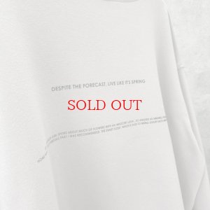 画像6: ●生産枠限り●期間限定掲載●【11/18 LIVEご紹介アイテム】裏毛布前後ロゴスエット（予約/1）