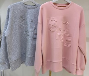 画像1: ●生産枠限り●期間限定掲載●ご予約10倍ポイント対象●【10/9 LIVEご紹介アイテム】立体ロゴオーバープルオーバー（予約3）