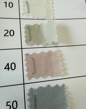 画像5: ●期間限定●ご予約10倍ポイント対象●【10/27 LIVEアイテム】スプリングカラーシャツ(予約/2)