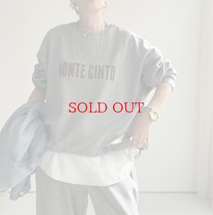 画像1: ●数量限定●裏毛布シリーズ●【11/11 LIVEアイテム】裏毛布ロゴスエット