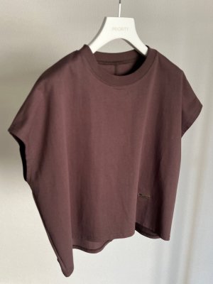 画像11: ●期間限定/ご予約10倍ポイント●【1/26 PRIORITY】ピグメントトップス（予約/5）