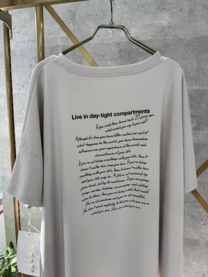 画像2: ●生産枠限り●ご予約5倍ポイント【2/2 LIVEアイテム】●オーバーシルエット前後ロゴＴ（メーカー確認後確保）（予約/4-5）