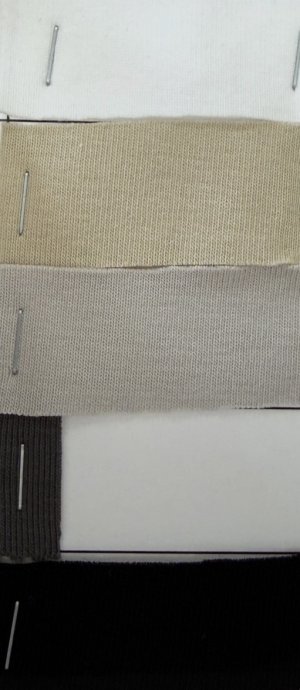 画像3: ●期間限定●ご予約5倍ポイント【2/2 LIVEアイテム】●ベーシックコンパクトT（予約/4-5）