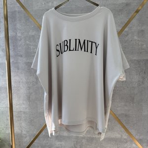 画像1: ●生産枠限り●ご予約5倍ポイント【2/2 LIVEアイテム】●オーバーシルエット前後ロゴＴ（メーカー確認後確保）（予約/4-5）