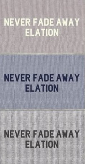 画像6: ●期間限定●生産枠限り●【4/3LIVEアイテム】ピグメントロゴトップス（予約/4-5月）