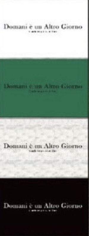 画像7: ●期間限定●生産枠に限りあり●【4/3LIVEアイテム】レース切替ロゴT（予約/5月）