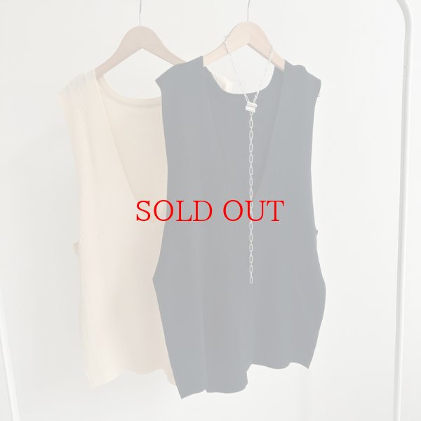画像2: ●再入荷【liveご紹介アイテム】Vneck over vest (2)