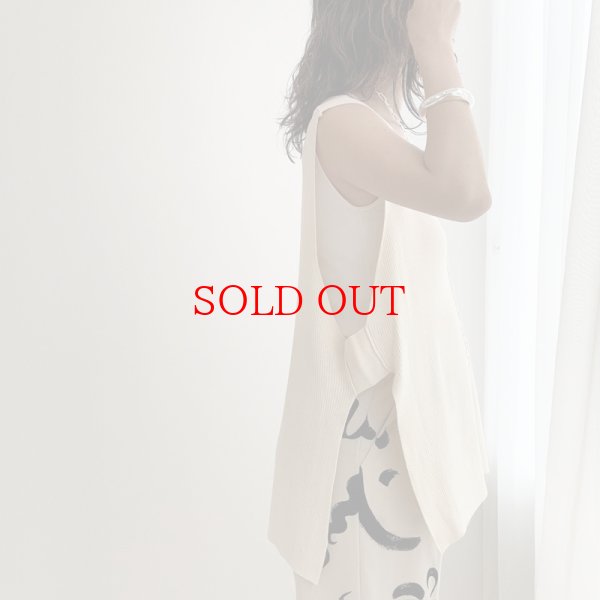 画像7: ●再入荷【liveご紹介アイテム】Vneck over vest (7)