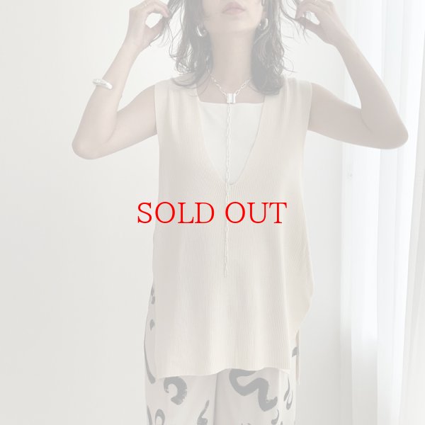 画像5: ●再入荷【liveご紹介アイテム】Vneck over vest (5)