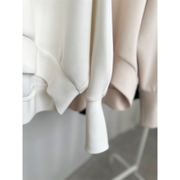 画像9: ●激推し●【LIVEご紹介アイテム】ドルマンオーバースエット (9)