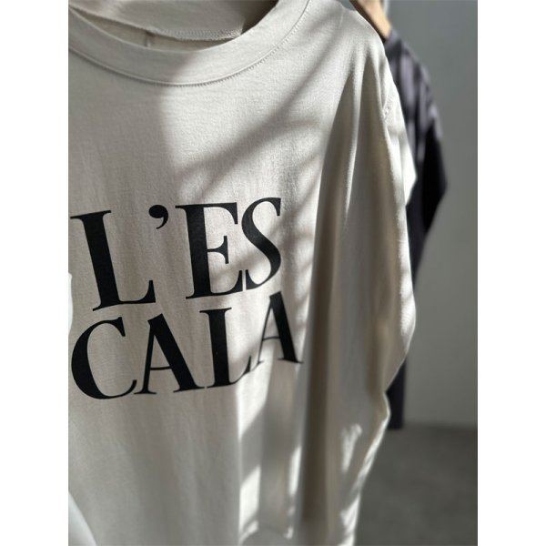 画像7: ●新色登場◎再販【LIVEご紹介アイテム】●BIGロゴフレンチT (7)