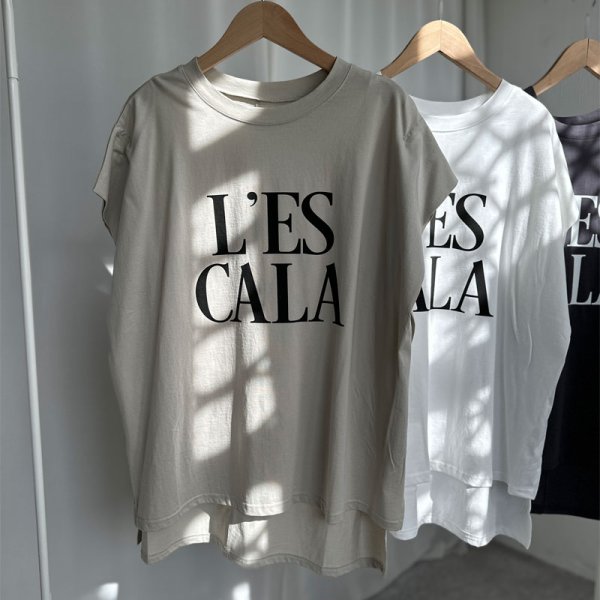 画像3: ●新色登場◎再販【LIVEご紹介アイテム】●BIGロゴフレンチT (3)