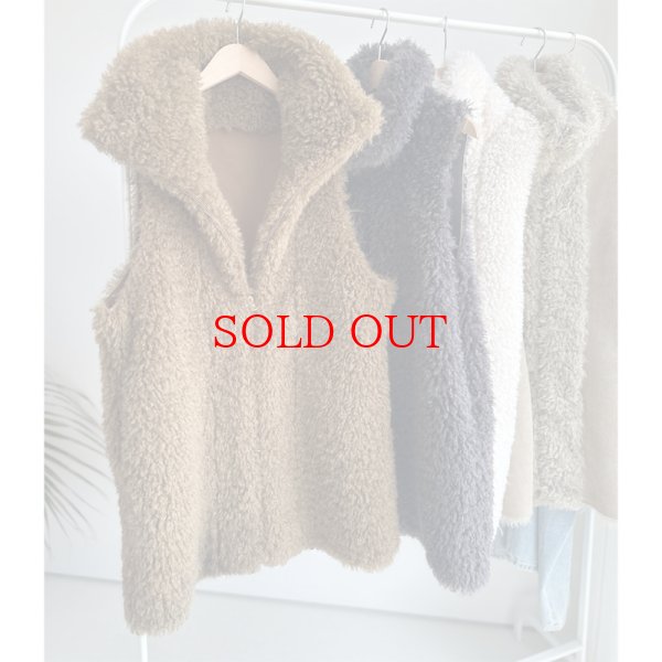 画像1: ●SALE●リバーシブルネックファーベスト【LIVEご紹介アイテム】 (1)
