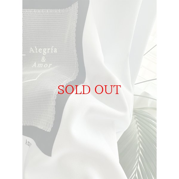 画像6: ●ご予約で大人気●裾で絞れるコクーンシルエット●【LIVEご紹介アイテム】●メッシュデザインロングT (6)