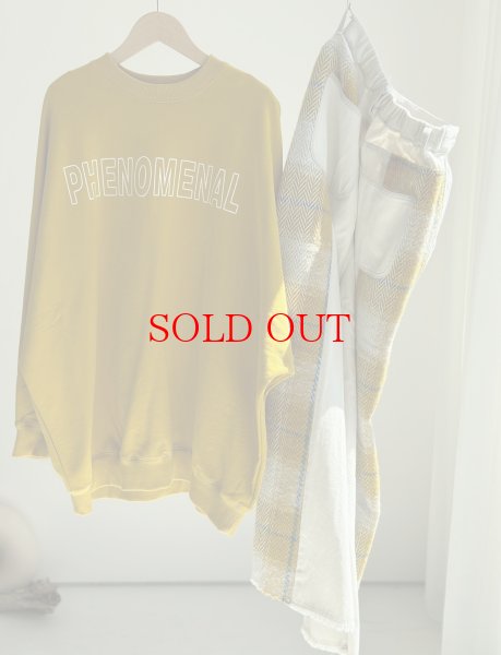 画像3: ●SALE●【12/13 LIVEアイテム】●オーバーロゴスエット (3)