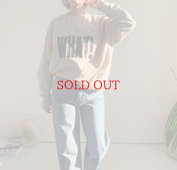 画像5: 【1/13 LIVEご紹介アイテム】BIGロゴスエットライクニット (5)