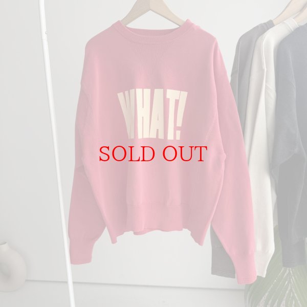 画像2: 【1/13 LIVEご紹介アイテム】BIGロゴスエットライクニット (2)