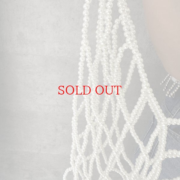 画像2: ●期間限定●追加生産決定●【2/7 LIVEご紹介アイテム】●デコラティブビスチェ (2)