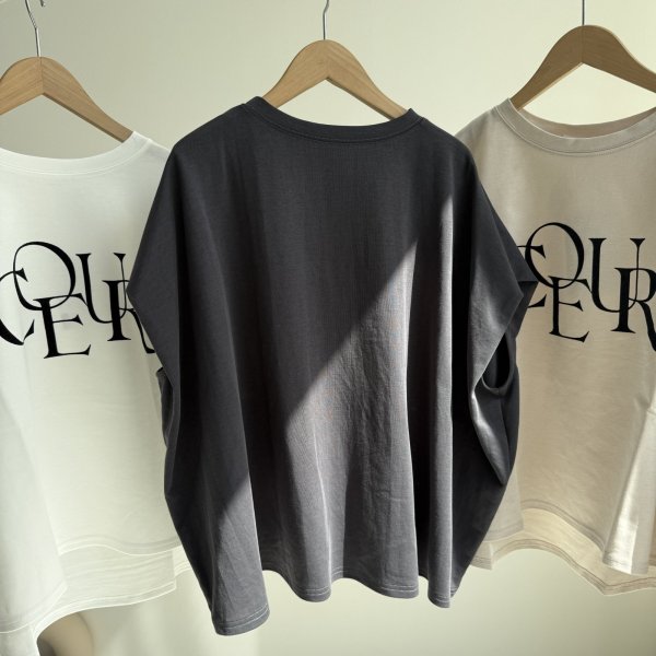 画像3: ●使える大人っぽロゴT●【6/14 LIVEご紹介アイテム】●フレンチスリーブロゴT(メーカー確認後取り寄せ) (3)