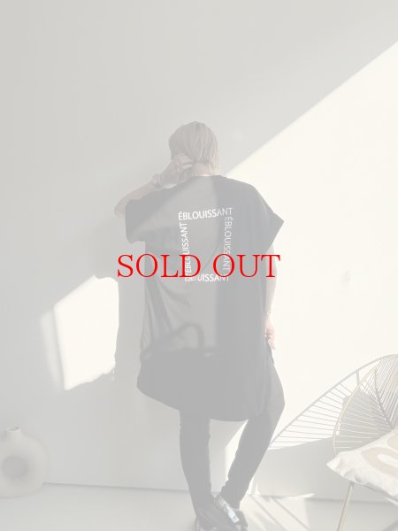 画像2: ●新作SALE●【6/28 LIVEご紹介アイテム】バックロゴBIG T (2)