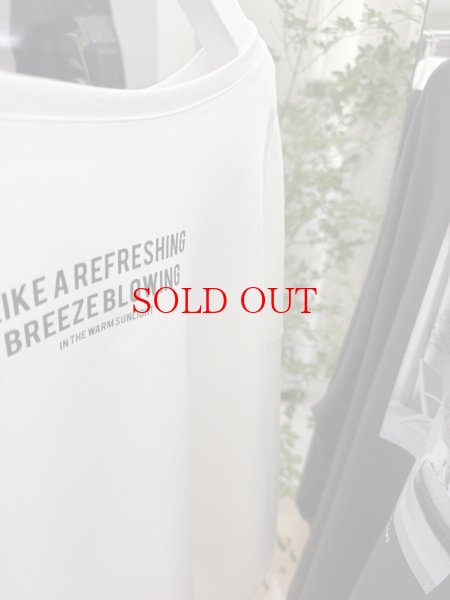 画像4: ●SPECIAL SALE●【1/15 LIVEアイテム】●前後2WAYフォトプリントロンTチェア (4)