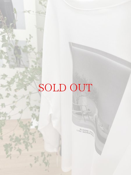 画像2: ●SPECIAL SALE●【1/15 LIVEアイテム】●前後2WAYフォトプリントロンTチェア (2)