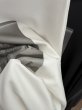 画像5: ●ご予約ポイント対象●期間限定掲載●【7/23 LIVEご紹介アイテム】前後2WAYフォトプリントロンT＜予約/10＞ (5)