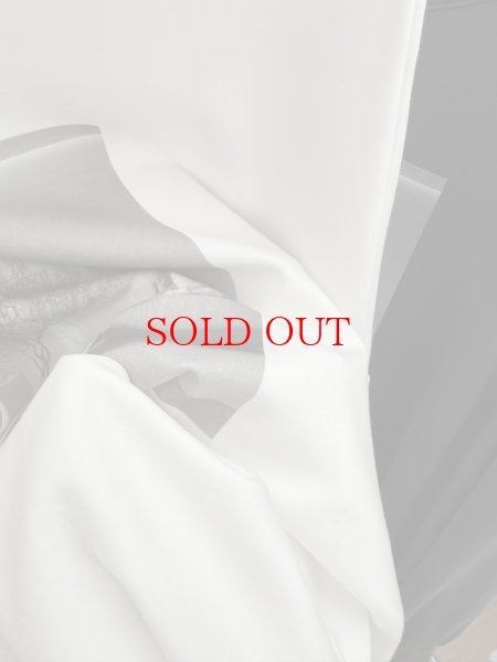 画像5: ●SPECIAL SALE●【1/15 LIVEアイテム】●前後2WAYフォトプリントロンTチェア (5)