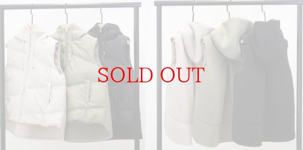 画像8: ●在庫限り●期間限定掲載●【10/14 LIVEご紹介アイテム】異素材ドッキングボンディングダウンベスト（メーカー確認後お取り寄せ） (8)