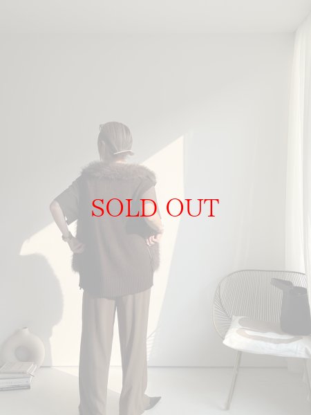 画像11: ●追加生産決定!!!●生産数に限りあり●【8/23 LIVEアイテム】配色ファーニットベスト（予約/10） (11)