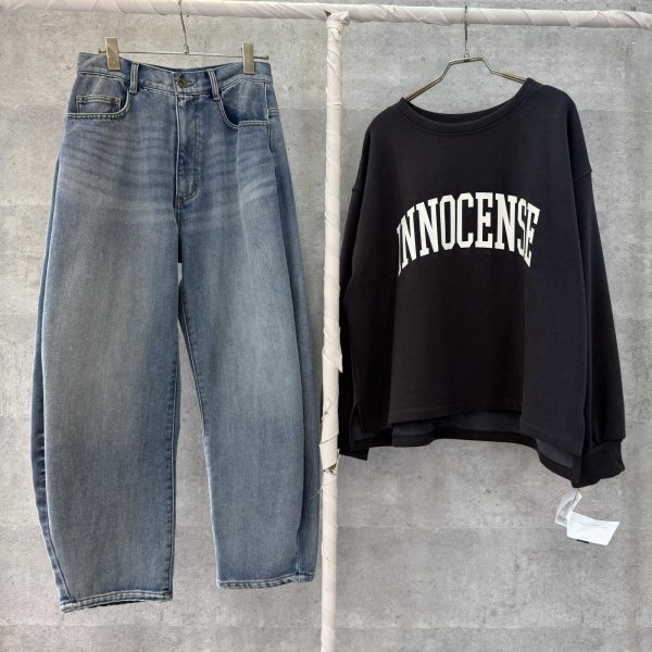 画像3: ●生産枠限り●期間限定掲載●【9/29 LIVEご紹介アイテム】裏毛布前後ロゴスエット（予約/11） (3)