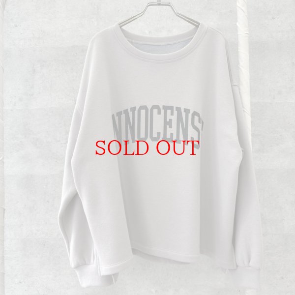 画像2: ●生産枠限り●期間限定掲載●【11/18 LIVEご紹介アイテム】裏毛布前後ロゴスエット（予約/1） (2)