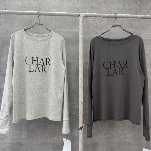 画像1: ●生産枠限り●期間限定掲載●【9/29 LIVEご紹介アイテム】あの!!過去一ロンTがロゴバージョンに!!過去一ロゴロンT（予約/11-12） (1)