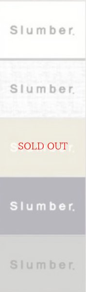 画像2: ●生産枠限り●期間限定掲載●【9/29 LIVEご紹介アイテム】あの!!過去一ロンTがロゴバージョンに!!過去一オーバーロゴロンT（予約/11-12） (2)